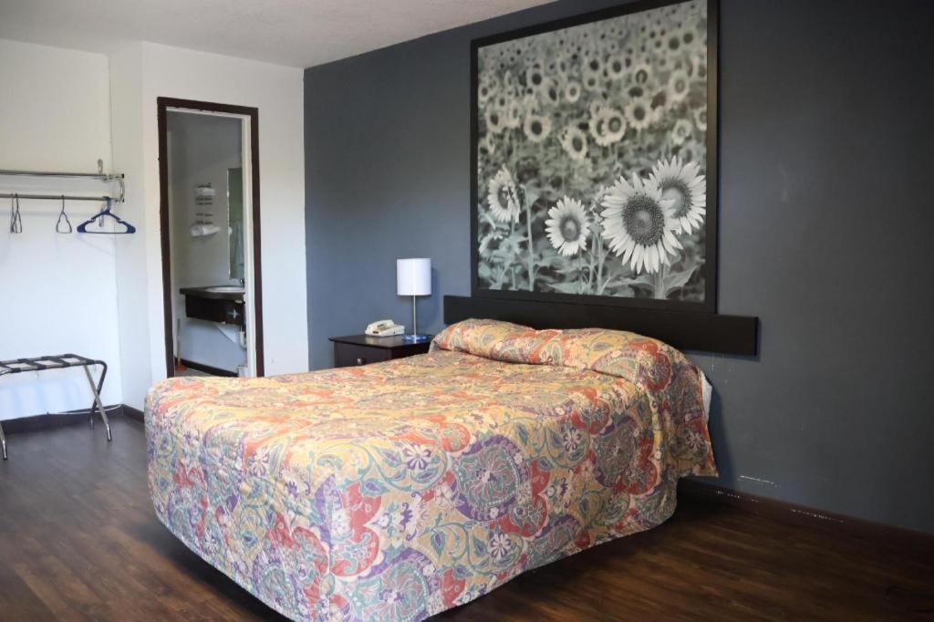Hotel O Oskaloosa - Hwy 63/92 المظهر الخارجي الصورة